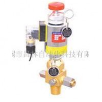 RF6/6.6,電磁驅動容器閥