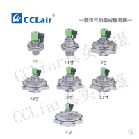 淹沒(méi)式脈沖閥WPS-Y-40S，WPS-Y-50S，WPS-Y-62S，WPS-Y-76S，